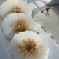 White and Gold Geode Shape Coasters and Tray Set
