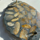 Metallic Silver With Natural Stone Decorative Tray Gold Clear Handles