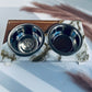 White & Gold Color Pet Feeder